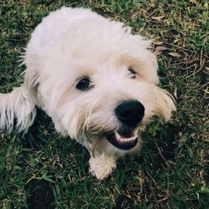 Meet your Posher, Karen